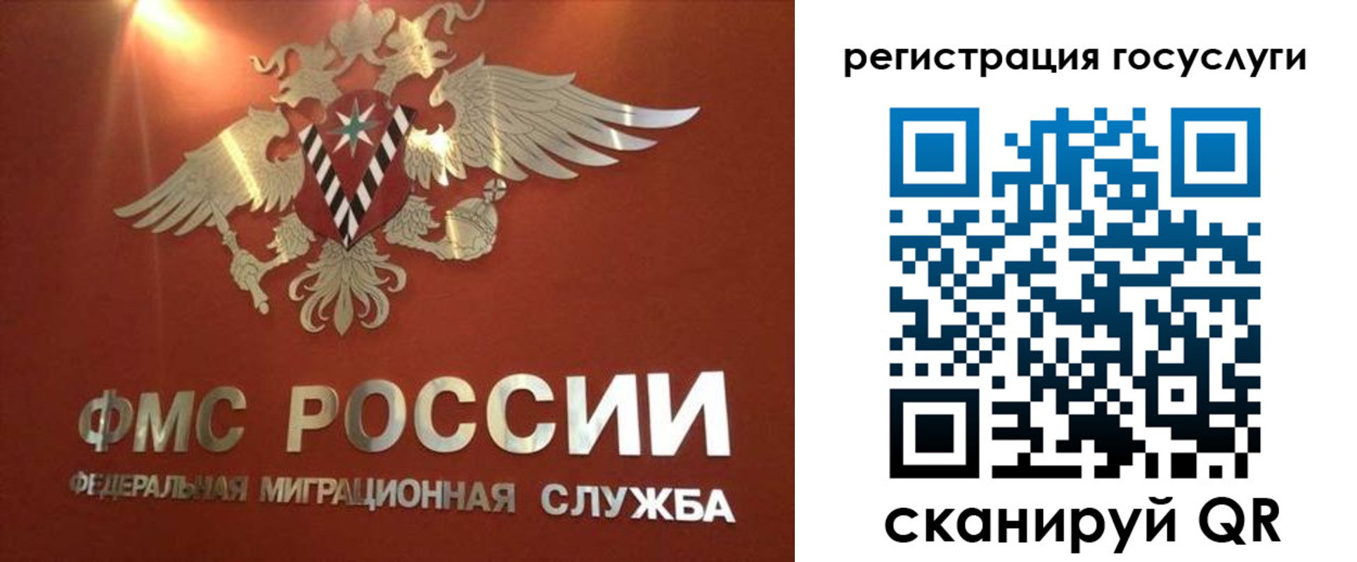 прописка ребенка в Черноголовке